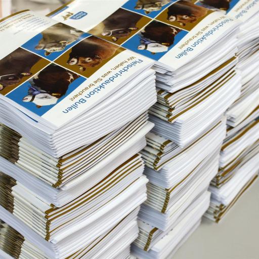 Broschüren Magazine druckerei werbeagentur stendal